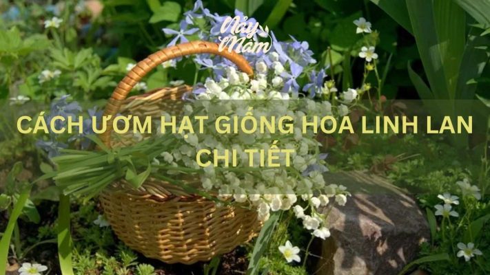 cách ươm hạt giống hoa